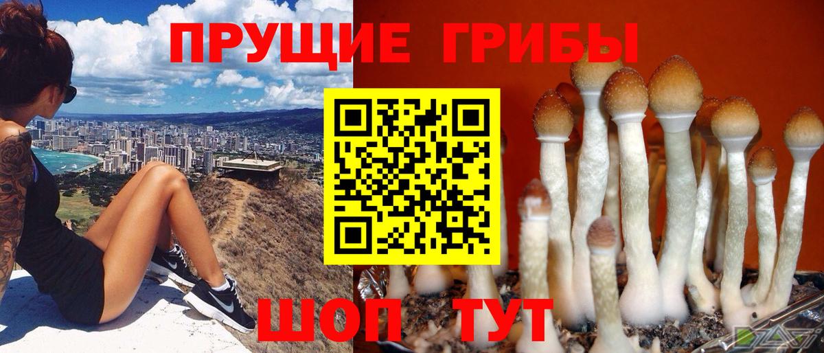 Псилоцибиновые грибы прущие грибы Нефтеюганск